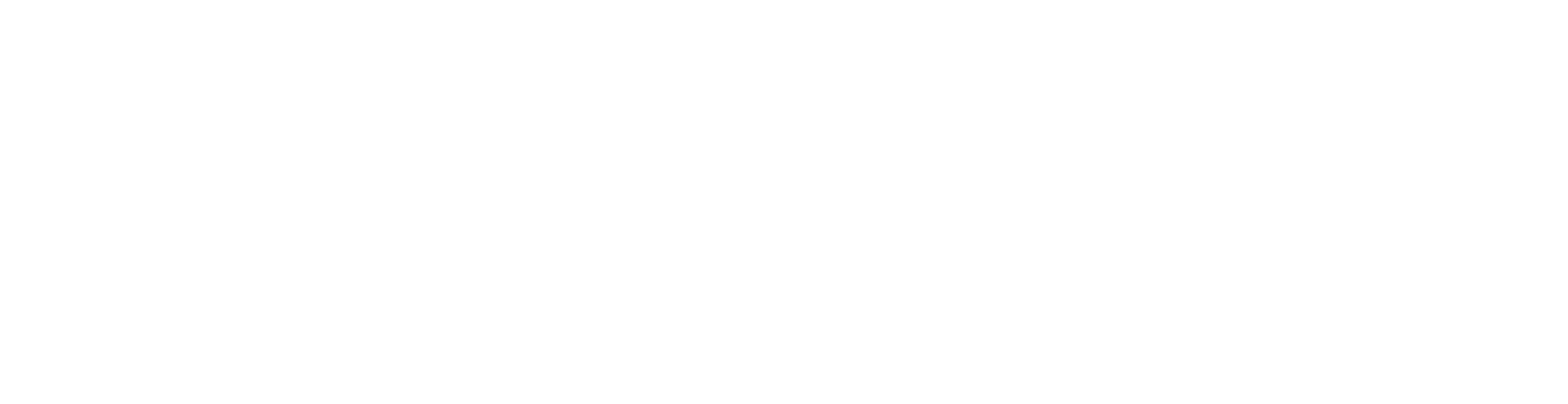 Prime_logo_white